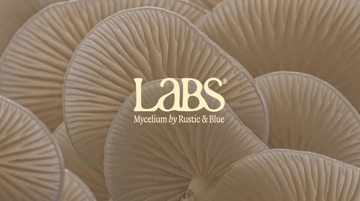 LABS - Mycelium by Rustic & Blue