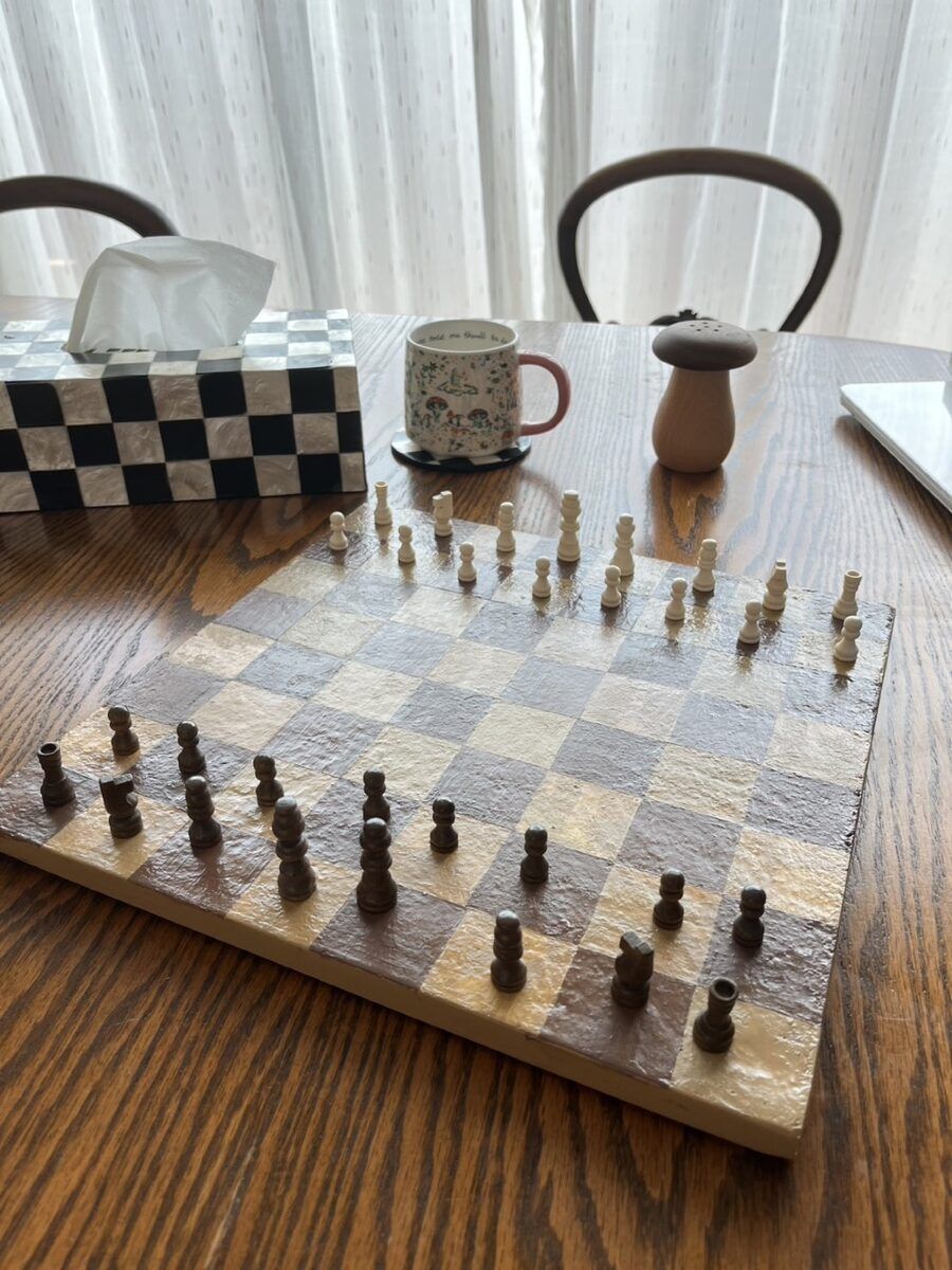 A chess set with a grown mycelium board and pieces