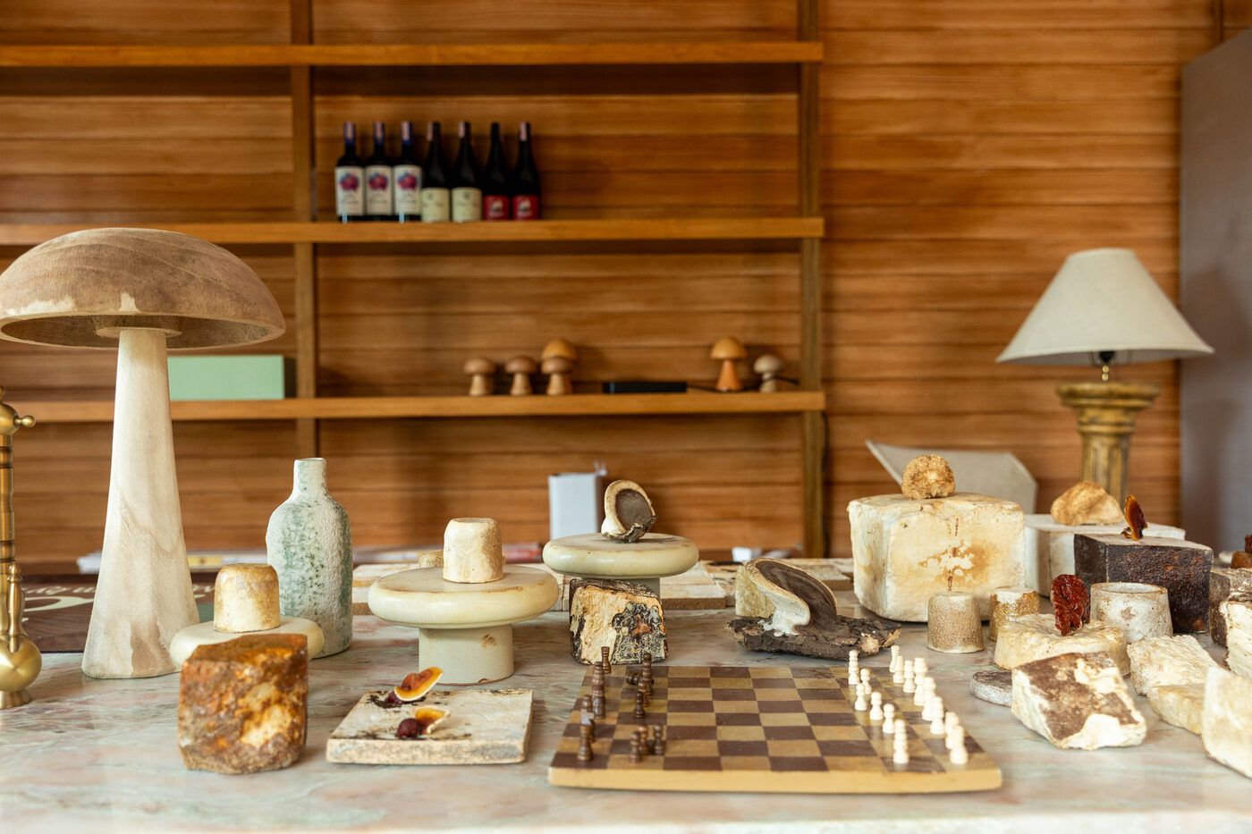 The range of grown mycelium pieces set out in the studio showroom