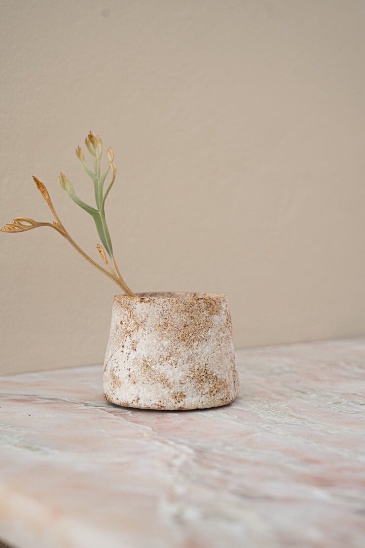 A grown mycelium vessel holding a single dried stem