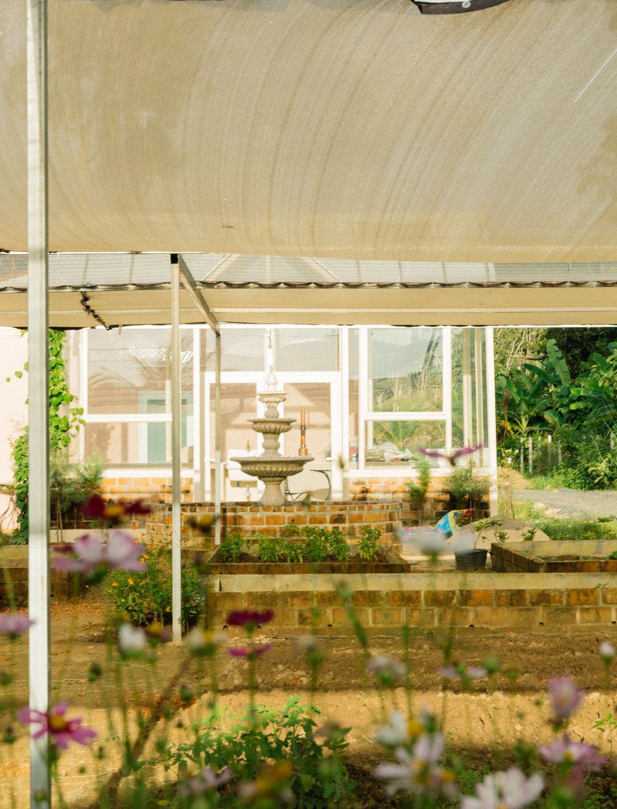 Raised beds and a fountain under the garden shade cloth
